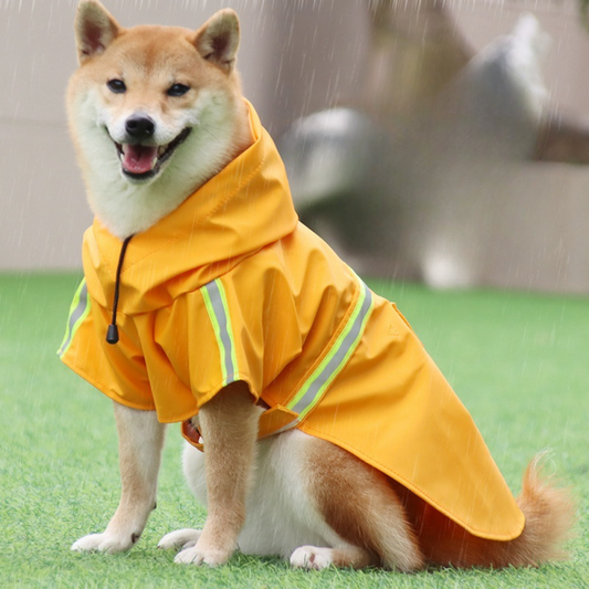 Dog Raincoat