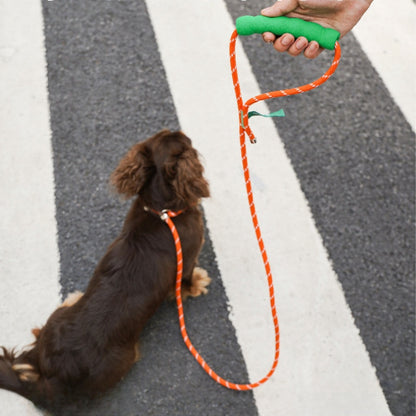 Leash & Collar Combo