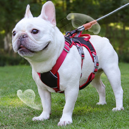 Escape Proof Dog Harness