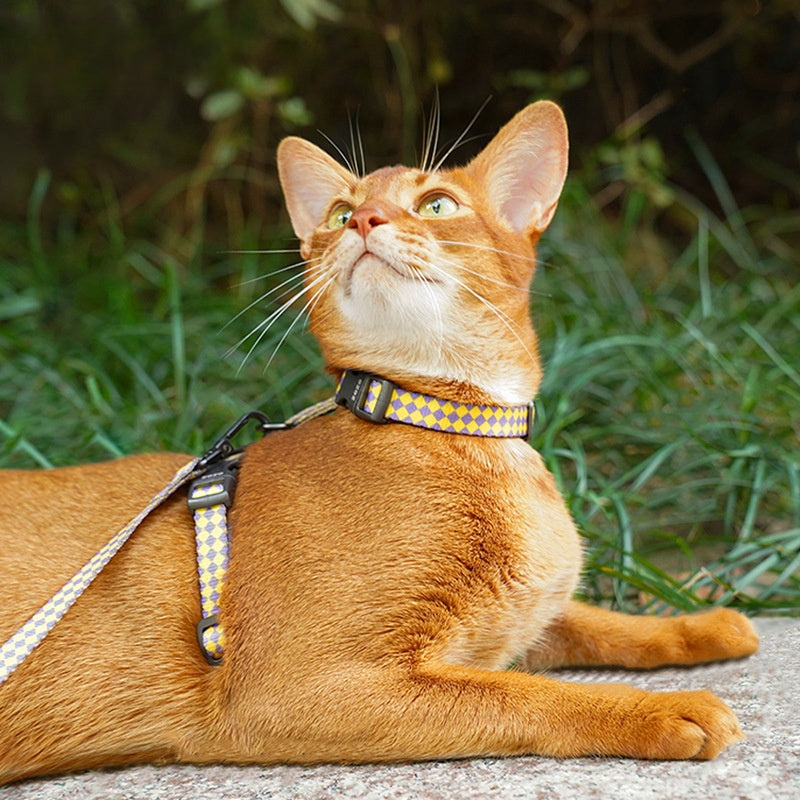 Checked Cat Harness and Leash Set