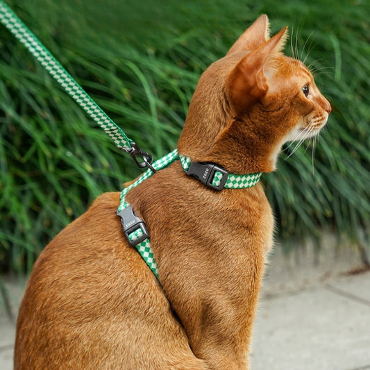 Checked Cat Harness and Leash Set