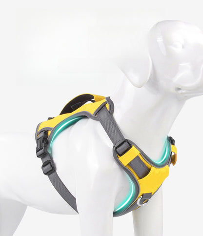 Dog Harness With Storage Pockets