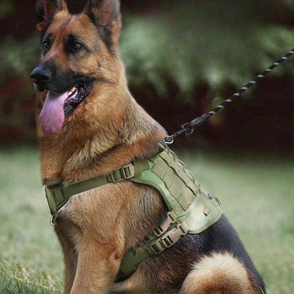 Dog Tactical Harnesses