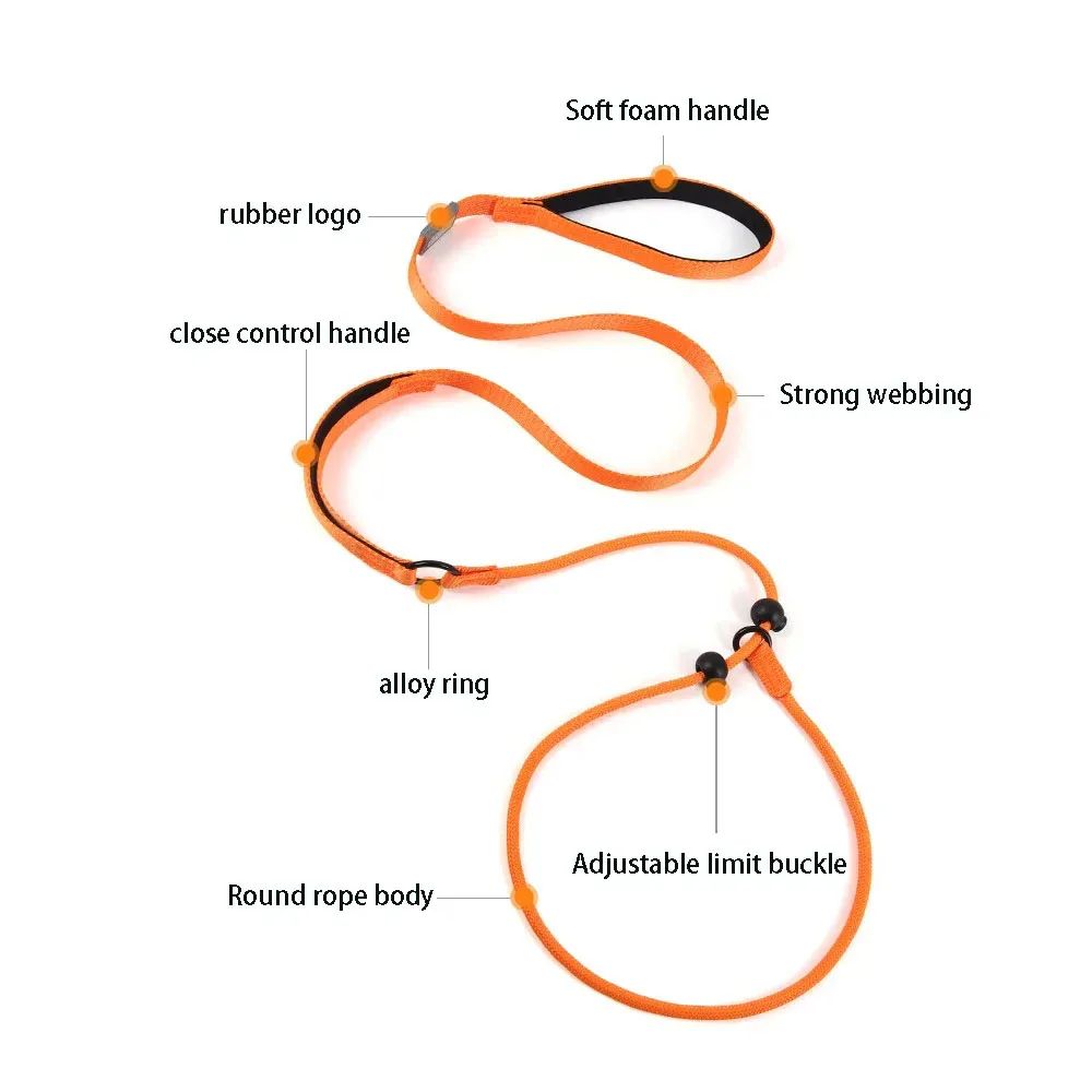 Slip Dog Training Collar and Leash