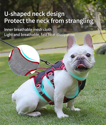 Escape Proof Dog Harness