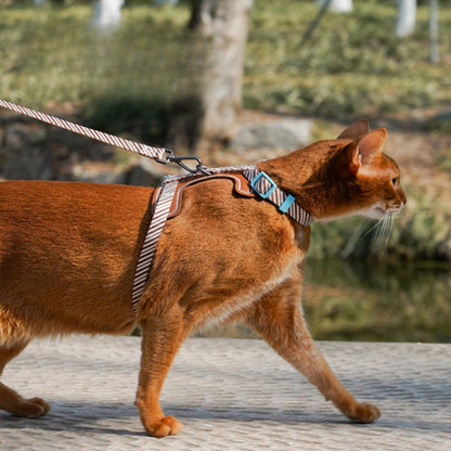 Harness and Leash Set for Dog & Cat