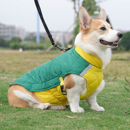 Dog Coat