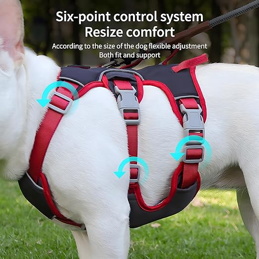 Escape Proof Dog Harness