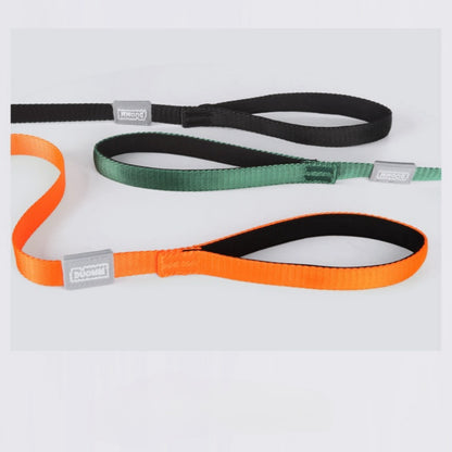 Slip Dog Training Collar and Leash