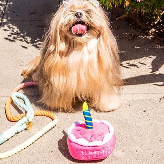 Dog Birthday Cake & Hat Set Toys