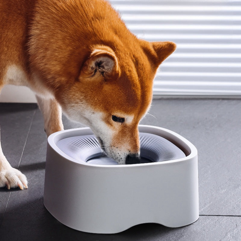 Dog Water Bowl No Spill